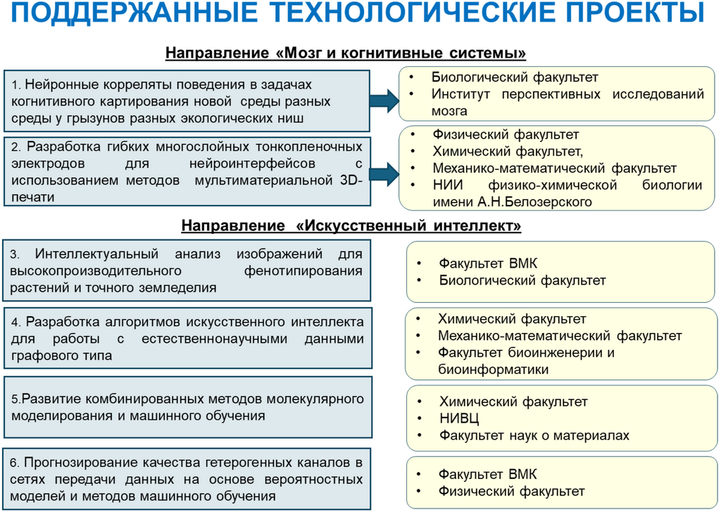 Рисунок 17.9. Результаты конкурсного отбора проектов на грантовую поддержку в рамках Междисциплинарной научно-образовательной школы «Мозг, когнитивные системы, искусственный интеллект».