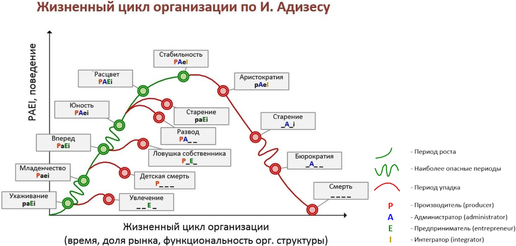 Рисунок 7.2. Жизненный цикл организации по Адизесу с учетом типологии психотипов руководителя